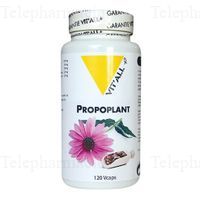 VITALL + PROPOPLANT COMPLEXE PROP/ECHINACEE 120 CO