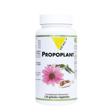 VITALL + PROPOPLANT COMPLEXE PROP/ECHINACEE 120 CO
